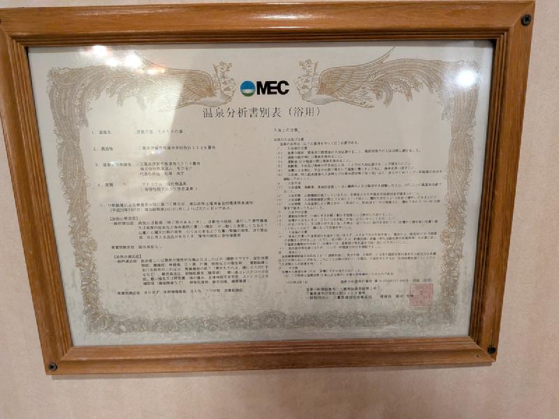 温泉分析書 別表