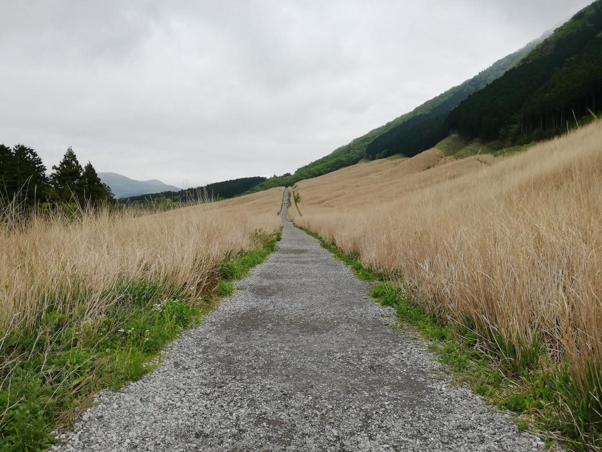 露天風呂付き客室への連泊で完全に身体を癒す――仙石原温泉（神奈川県箱根町）